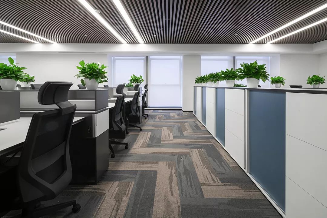 1652247670103610.jpg 1652247670103610.jpg