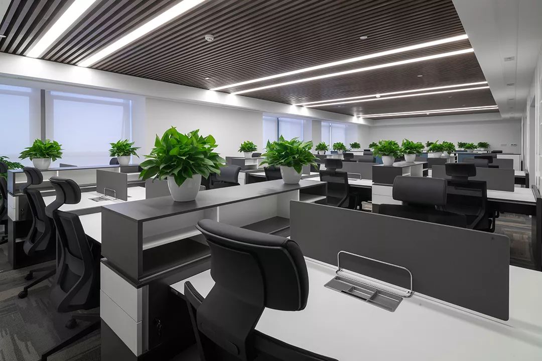 1652247711168065.jpg 1652247711168065.jpg